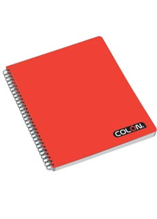 [100701980] CUADERNO UNIVERSITARIO 100 HJS